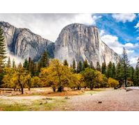 Quadro composito in alluminio 100 x 70 cm: Yosemite National Park Valley at cloudy autumn morning. Low Clouds lay in the valley. California, USA. (82600301)
