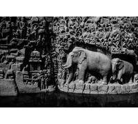 Quadro composito in alluminio 50 x 30 cm: Arjuna Penitenza si trova a Mamallapuram. (54550240)