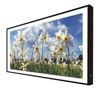 Quadro con cornice legno laccato in nero lucido con luce LED fiori: campo di tulipani