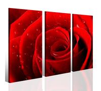 Quadro con rosa rossa Red rose III stampa di qualità su tela canvas trittico