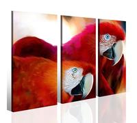 Quadro Couple papage pappagallo ara rossa raro stampe uccelli