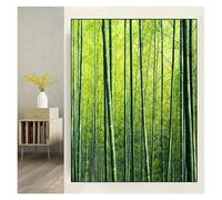 Quadro Decorativo per Scatola contatore e Scatola elettrica Nascondi Dipinti Scatola di distribuzione elettrica Nascondi Quadro contatore Arte murale Coperture per Pannelli interruttori Automatici (L
