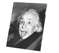 Quadro decorativo tela stampata, Albert Einstein Tire La Lingua, 40 x 51 cm