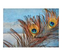 Quadro DUE PIUME DI PAVONE G4050 PINTDECOR