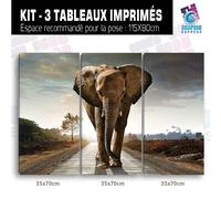 Quadro Elefante Natura Art Deco da Muro - EL-10