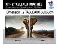 Quadro Elefante Natura Art Deco da Muro - EL-10