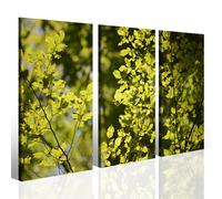Quadro foglie verdi Il bello del verde stampa su tela canvas immagini natura