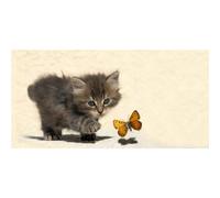 Quadro GATTINO E FARFALLINA G1588 PINTDECOR