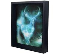 Quadro Immagine 3d Lenticular 24x29cm Con Cornice Expecto Patronum