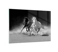Quadro in Vetro 100x70 cm Stampe da Parete Bianco e Nero Animali 4240