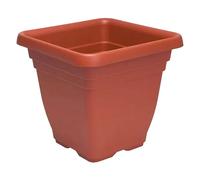 Quadro Laurus 25 x 25 x 23CM 7L Terracotta Vaso 6 Pezzi