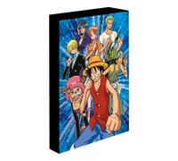 Quadro LED luminoso 30x40 cm One Piece