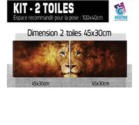 Quadro Leone Fuoco Fiamme - Stampa Tessuto 60 Modelli Stampa LIO-01