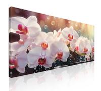 Quadro lungo per cucina moderna, quadro xxl natura, Orchidee Bianche e Rosa con gocce d'acqua, su tela, intelaiato pronto da appendere bow24-130x60 cm