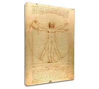 Quadro L'Uomo Vitruviano Leonardo Da Vinci stampa su tela canvas con o senza telaio - scegli la dimensione che preferisci da - cm 50 a cm 130 di larghezza (CM 43X60, QUADRO CON TELAIO IN LEGNO)
