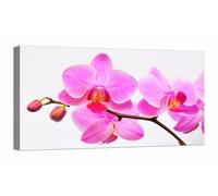 Quadro Moderno 100x50 cm stampa su tela con telaio arredamento arredo arte casa