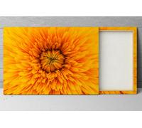 Quadro moderno con Stampa su tela HD arredo casa Girasoli fotografia Close up