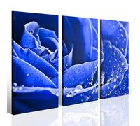 Quadro per centro estetico rosa colorata Blue rose stampa su tela petali blu