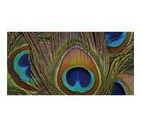 Quadro PIUME DI PAVONE G2078 PINTDECOR