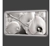 Quadro PLANE G6950 PINTDECOR