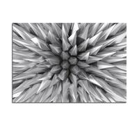 Quadro PUNTE G6986 PINTDECOR