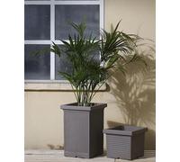 Quadro Resina Millerighe Classico cm. 50