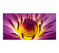 Quadro SBOCCIANO I FIORI G1908 PINTDECOR