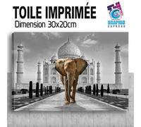 Quadro Stampa Animali Elefante Felino Taj Mahal - Decorazione - EL11
