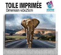 Quadro Stampa Elefante California Decorazione Parete - EL13