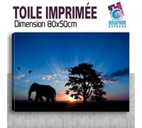Quadro Stampa Elefante Decorazione Parete - EL16