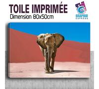 Quadro Stampa Elefante IN The Desert Decorazione Parete - EL17
