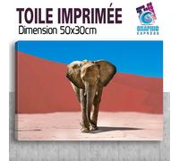 Quadro Stampa Elefante IN The Desert Decorazione Parete - EL17