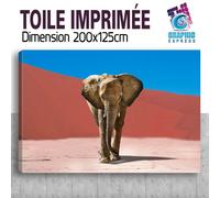 Quadro Stampa Elefante IN The Desert Decorazione Parete - EL17