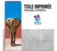 Quadro Stampa Elefante IN The Desert Decorazione Parete - EL17