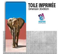 Quadro Stampa Elefante IN The Desert Decorazione Parete - EL17