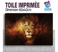 Quadro Stampa Leone Fuoco Fiamme Quadro Decorazione Parete - LI-01
