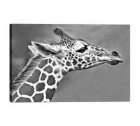 Quadro Stampa su Tela con Telaio Giraffa