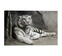 Quadro Stampa su Tela con Telaio Tigre Bianca