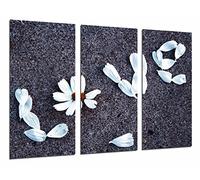 Quadro Su Legno, Amore, Parola amore, petali, romantico, 97 x 62cm, Stampa in qualita fotografica. Ref. 26687