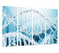 Quadro Su Legno, Biologia, Scienza, Cromosoma, DNA Blue White Chain, 131 x 62cm, Stampa in qualita fotografica. Ref. 27033