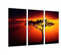 Quadro Su Legno, Natura, albero africano, tramonto, 97 x 62cm, Stampa in qualita fotografica. Ref. 26585
