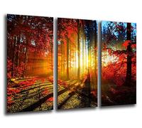 Quadro su Legno, Paesaggio Foresta Tramonto Autunnale, 97 x 62cm, Stampa in qualita Fotografica. Ref. 26137
