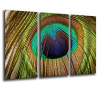 Quadro Su Legno, Piume di pavone, 97 x 62cm, Stampa in qualita fotografica. Ref. 26234