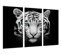 Quadro su Legno, Tigre Bianca, Animali, 97 x 62cm, Stampa in qualita Fotografica. Ref. 26309