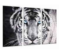 Quadro su Legno, Tigre Nera e Bianca, Occhi Blu, Animali, 97 x 62cm, Stampa in qualita Fotografica. Ref. 26618