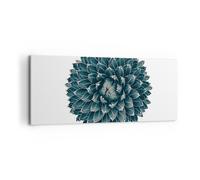 Quadro su Tela 100x40cm Agave Regina Vittoria Stampe Immagini Quadri Murale
