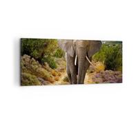 Quadro su Tela 100x40cm Animali Africa elefante camminare Stampe Immagini Murale