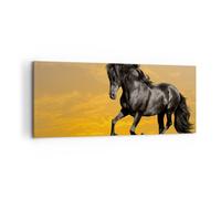 Quadro su Tela 100x40cm Animali cavallo correndo prato Stampe Immagini Murale