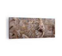 Quadro su Tela 100x40cm Boho Spighe Di Grano Erba Stampe Immagini Quadri Murale