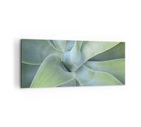 Quadro su Tela 100x40cm Succulento Agave Botanica Stampe Immagini Quadri Murale
